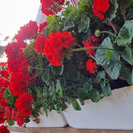 Finca Sa Cova De Mallorca Сенсельєс Екстер'єр фото