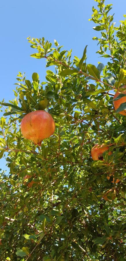 Finca Sa Cova De Mallorca Сенсельєс Екстер'єр фото