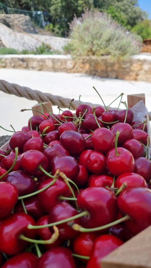 Finca Sa Cova De Mallorca Сенсельєс Екстер'єр фото
