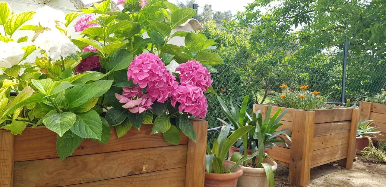 Finca Sa Cova De Mallorca Сенсельєс Екстер'єр фото