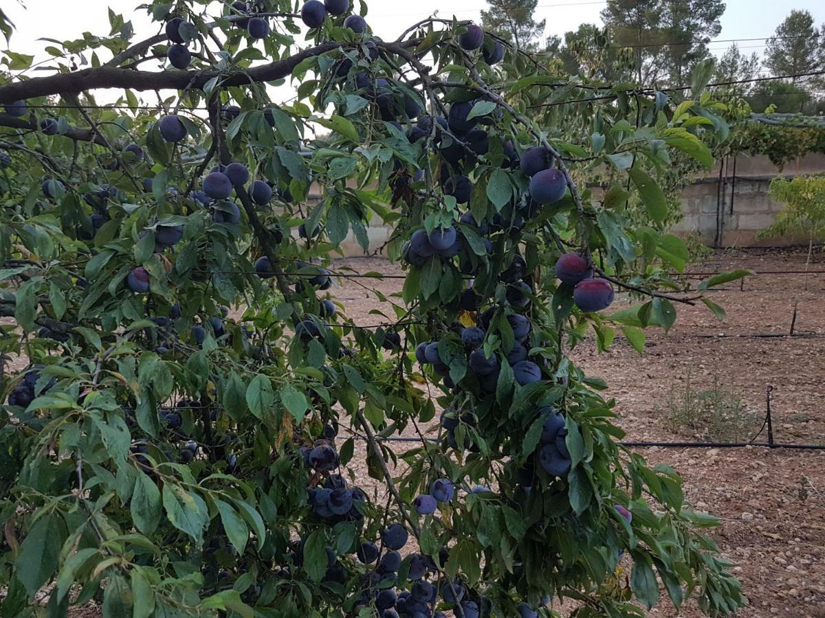 Finca Sa Cova De Mallorca Сенсельєс Екстер'єр фото