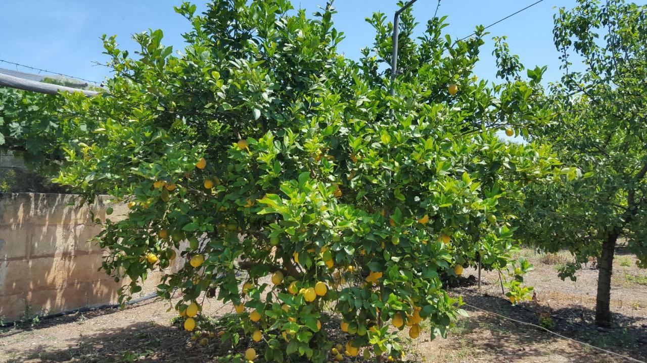 Finca Sa Cova De Mallorca Сенсельєс Екстер'єр фото