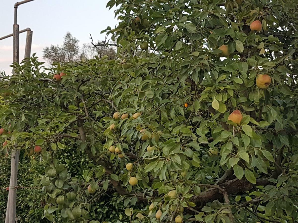 Finca Sa Cova De Mallorca Сенсельєс Екстер'єр фото