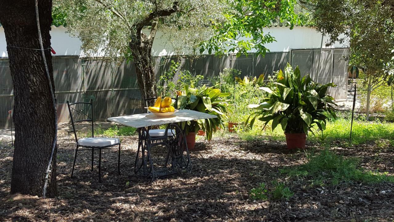 Finca Sa Cova De Mallorca Сенсельєс Екстер'єр фото