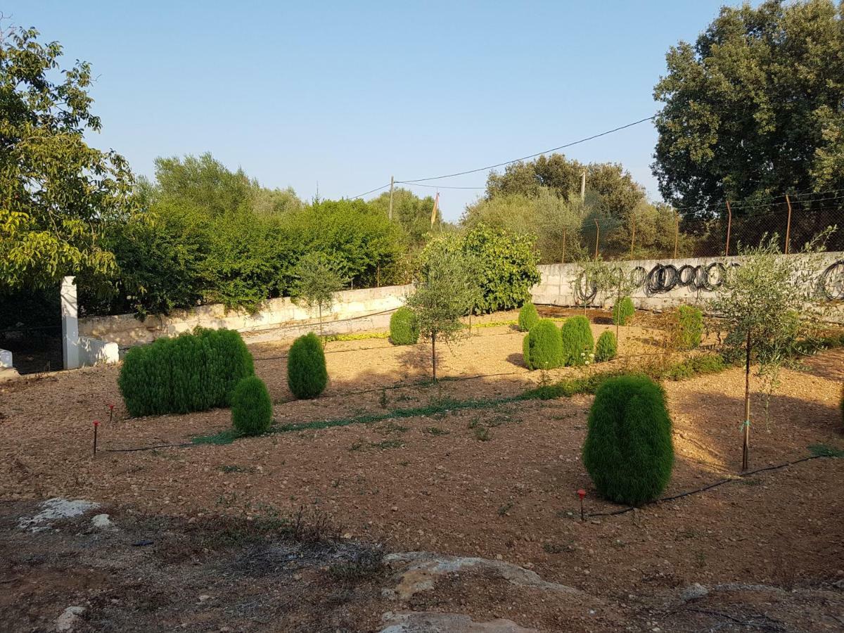 Finca Sa Cova De Mallorca Сенсельєс Екстер'єр фото