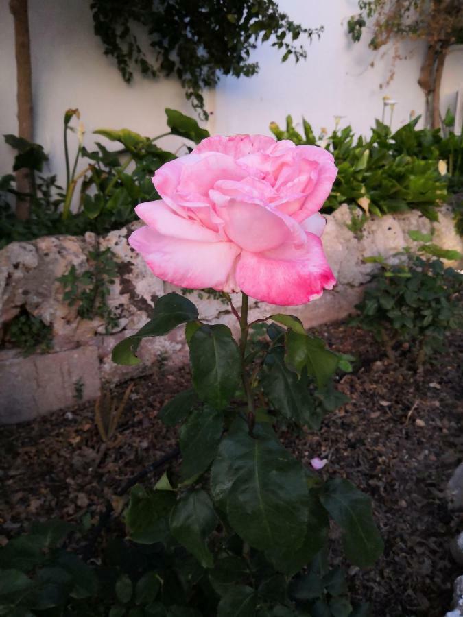 Finca Sa Cova De Mallorca Сенсельєс Екстер'єр фото