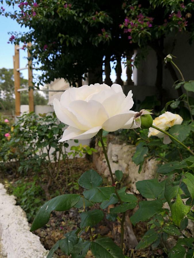 Finca Sa Cova De Mallorca Сенсельєс Екстер'єр фото