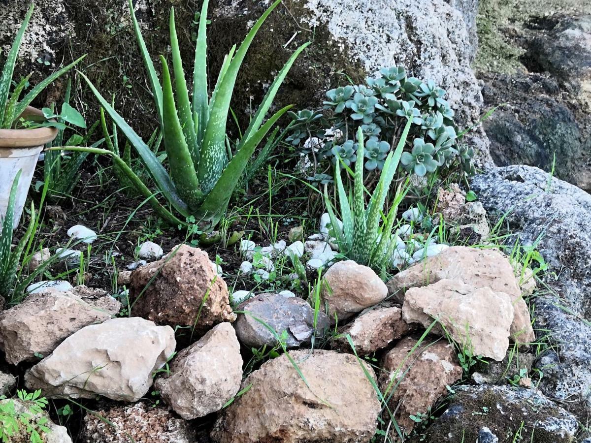 Finca Sa Cova De Mallorca Сенсельєс Екстер'єр фото