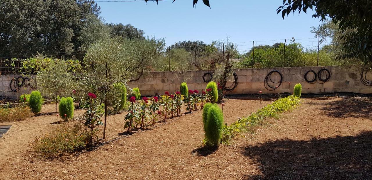 Finca Sa Cova De Mallorca Сенсельєс Екстер'єр фото